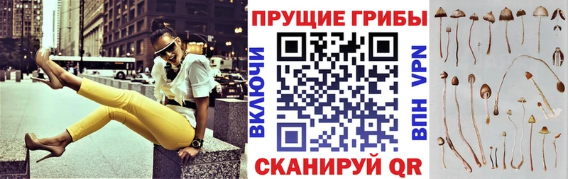 Галлюциногенные грибы MAGIC MUSHROOMS  блэк спрут рабочий сайт  Трубчевск 